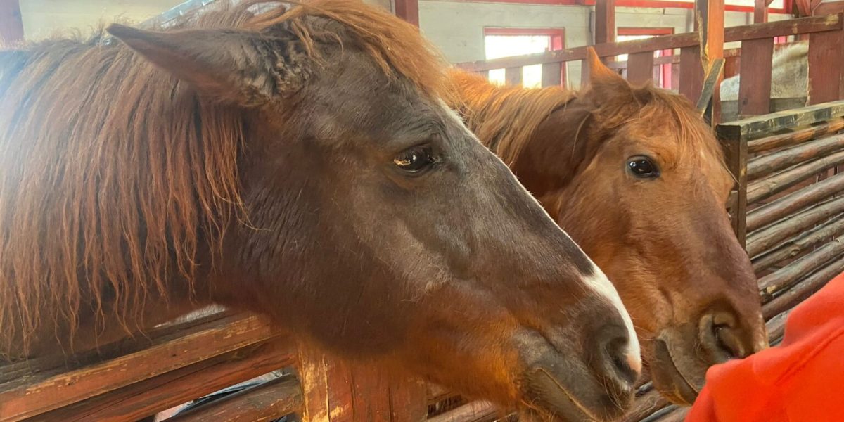 WhatsApp-Image-2024-03-29-at-1.21.34-PM-1536x1152-1.jpeg - ReactMedia