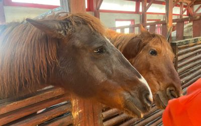 WhatsApp-Image-2024-03-29-at-1.21.34-PM-1536x1152-1.jpeg - ReactMedia