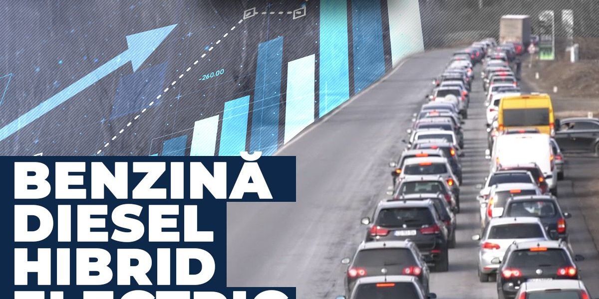 WhatsApp-Image-2026-02-03-at-14.43.10.jpeg - ReactMedia