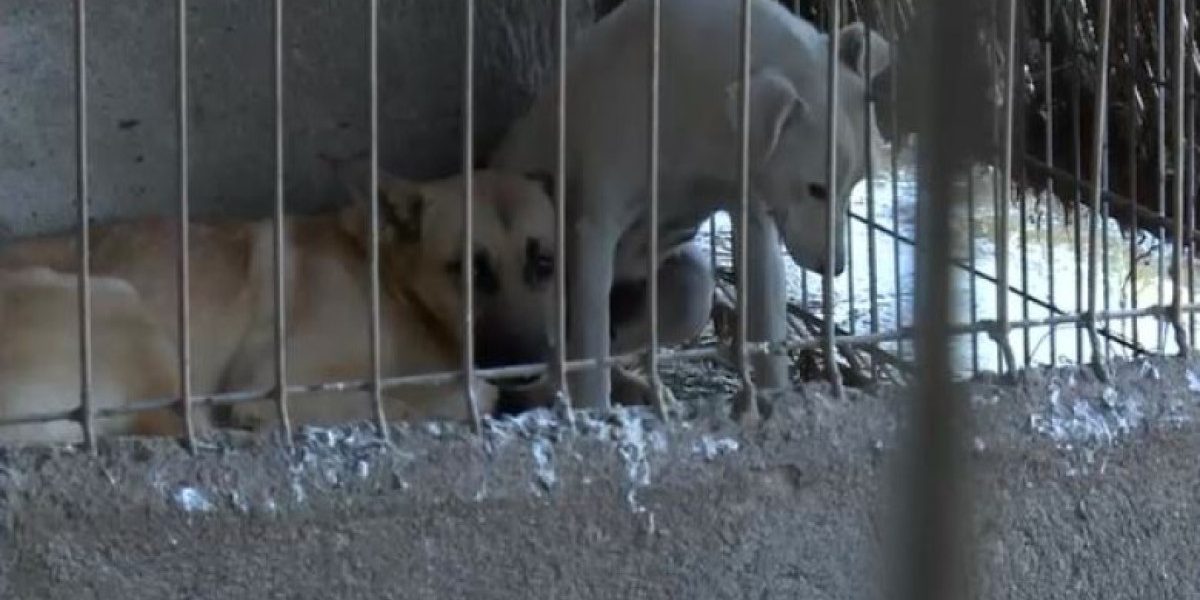 YTBiZDlmNjFjOGNkZjE2ZTU4ZTEzNDQxNWM4NGE3ZGE.thumb_.jpg - ReactMedia