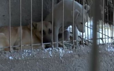 YTBiZDlmNjFjOGNkZjE2ZTU4ZTEzNDQxNWM4NGE3ZGE.thumb_.jpg - ReactMedia