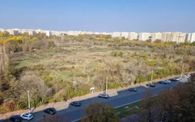 amendaior-1.webp.webp - ReactMedia