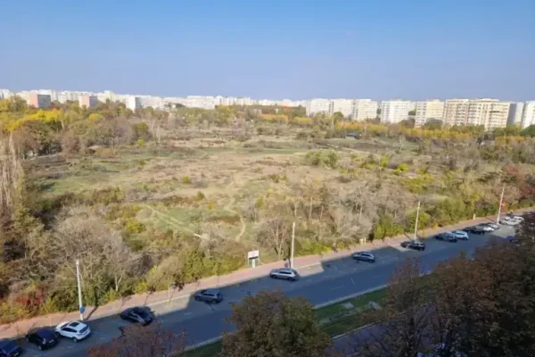 amendaior-1.webp.webp - ReactMedia