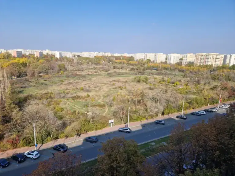 amendaior-1.webp.webp - ReactMedia