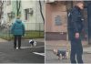 amenzi-bucuresteni-care-nu-strang-dupa-cainii-lor.jpg - ReactMedia