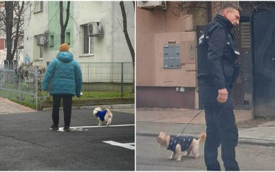 amenzi-bucuresteni-care-nu-strang-dupa-cainii-lor.jpg - ReactMedia