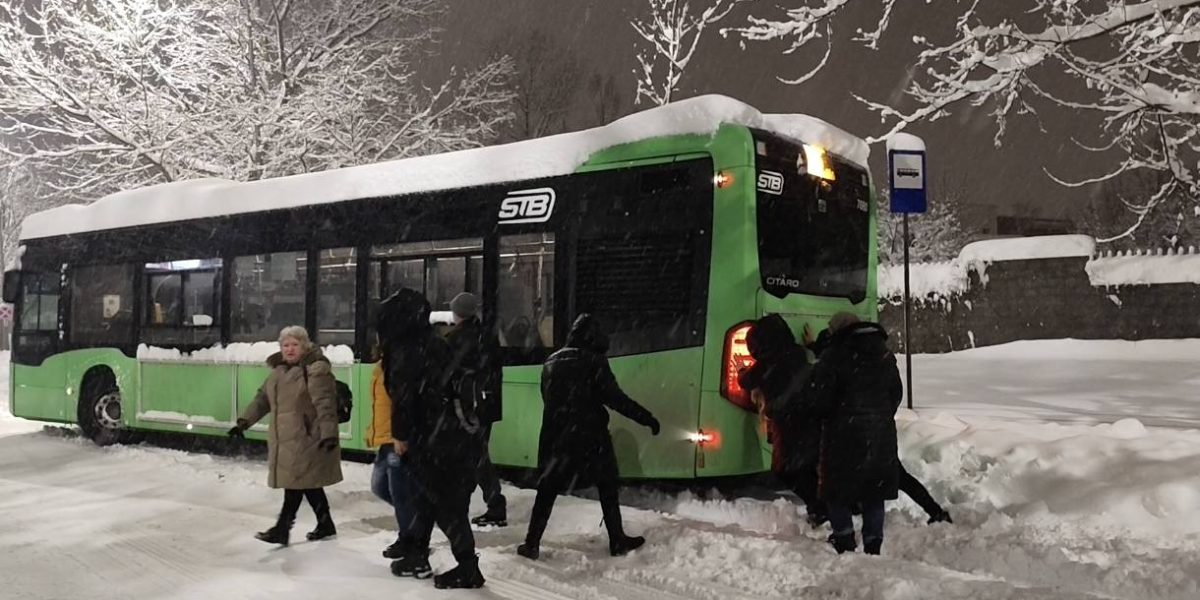 autobuz-ninsoare-bucuresti.jpg - ReactMedia