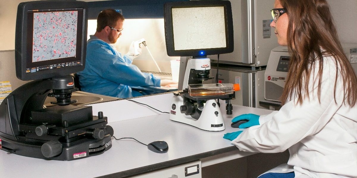 cancer-control-doctor-analiza-spital-doctori-medicina.jpg - ReactMedia