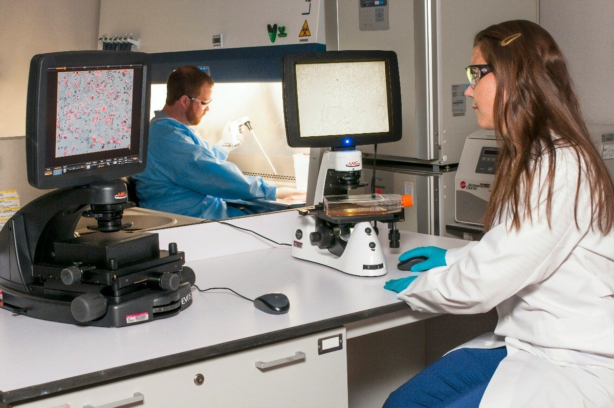 România face un pas important spre alinierea cu standardele europene în domeniul radiologiei medicale, după ce ministrul Sănătăţii, Alexandru Rogobete, a anunțat recent aprobarea metodologiei pentru examenul european de obținere a titlului de medic specialist în radiologie și imagistică medicală