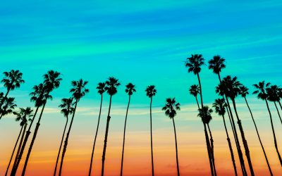 dreamstime_xl_37498786.jpg - ReactMedia