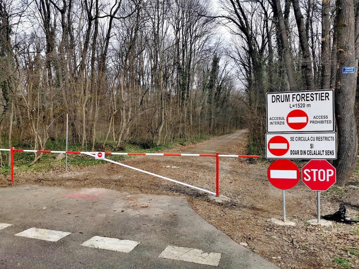 Romsilva justifică drumul din Greenfield cu decrete comuniste: „alee modernizată pentru vehicule”