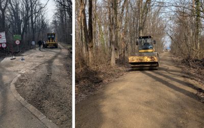 drumulcatregreenfield.jpg - ReactMedia