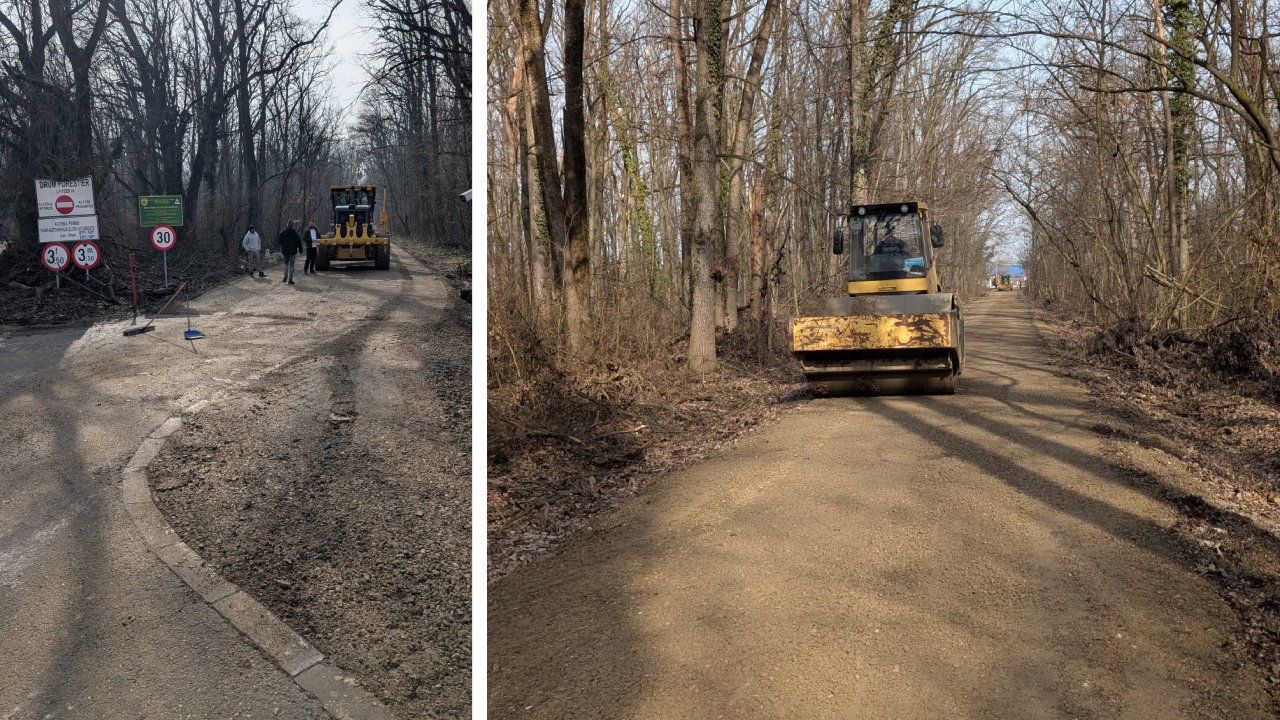 Drumul din pădurea Băneasa, sub lupă: între legalitate și realitate urbană În timp ce autoritățile încearcă să dezlege firele legale ale construirii unui drum autoturistic traversând pădurea Băneasa, situată în proximitatea cartierului Greenfield, ultimele evenimente evidențiază o dispută aprinsă între verificările oficiale și realitatea de teren