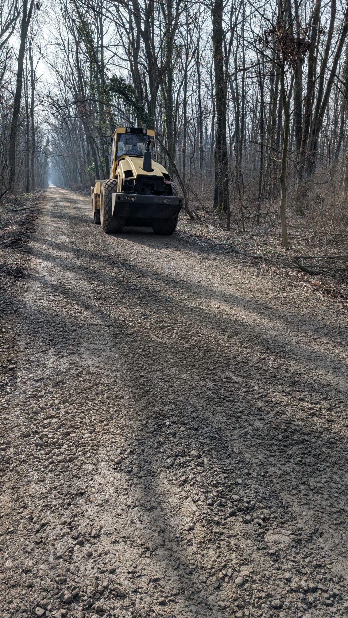 Controverse în jurul drumului din Pădurea Băneasa: între legalitate, întreținere și modernizare Un drum de acces situat în inima pădurii Băneasa, folosit de vreme, a devenit subiect de dispută între autorități și reprezentanții comunității locale din cartierul Greenfield, odată cu apariția unor utilaje și un raport care cere închiderea și reîmpădurirea sa