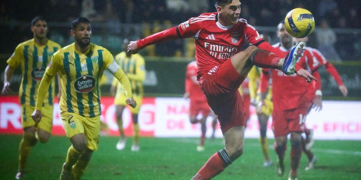 fbl-por-liga-tondela-benfica-36859388.jpeg - ReactMedia