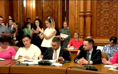 Ministrul Muncii: Pachetul de solidaritate nu este prevăzut în bugetul actual