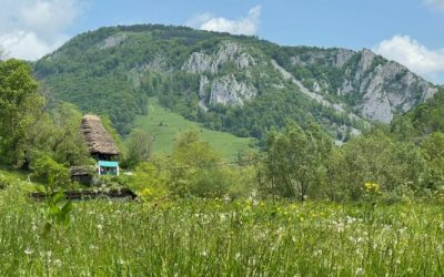 foto-apuseni-sursa-g4media-e1688459569191.jpg - ReactMedia