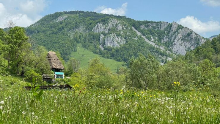 foto-apuseni-sursa-g4media-e1688459569191.jpg - ReactMedia