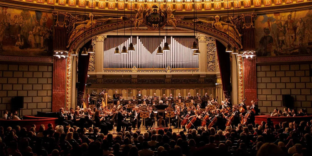 image.webp.webp - ReactMedia