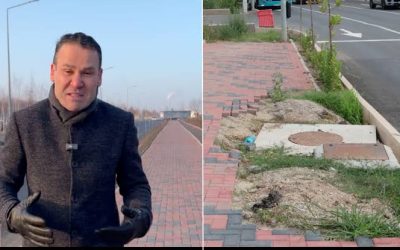 images.jpeg - ReactMedia