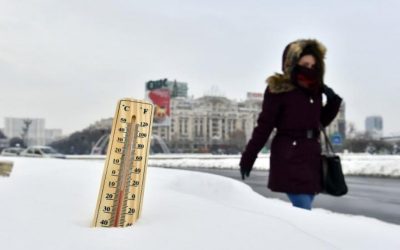 img.jpeg - ReactMedia