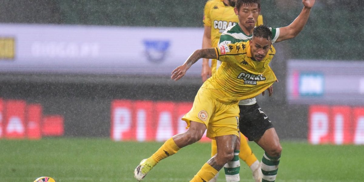 imgS620I1042461T20260201220927.jpg - ReactMedia