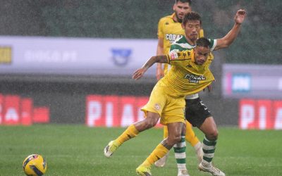 imgS620I1042461T20260201220927.jpg - ReactMedia