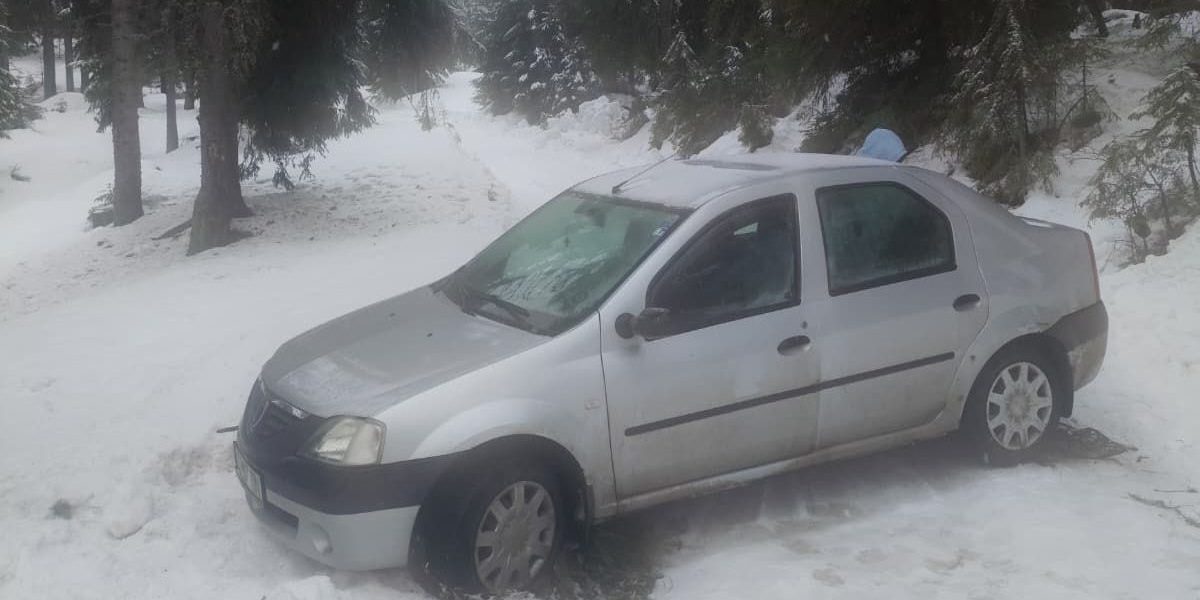 inzapeziti-in-alba.jpeg - ReactMedia