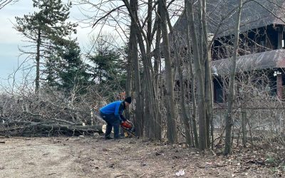 ior-aprc-1-3.jpg - ReactMedia