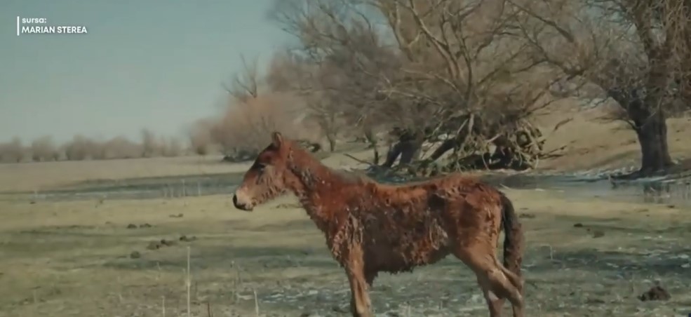 manz.jpg - ReactMedia