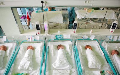 nou-nascut_INQUAM_Photos_George_Calin.jpg - ReactMedia