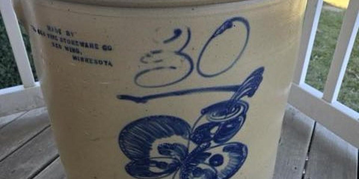 o-femeie-planuia-sa-vanda-vasul-vechi-abandonat-in-curtea-casei-cu-20-de-dolari-licitatia-a-explodat.webp - ReactMedia