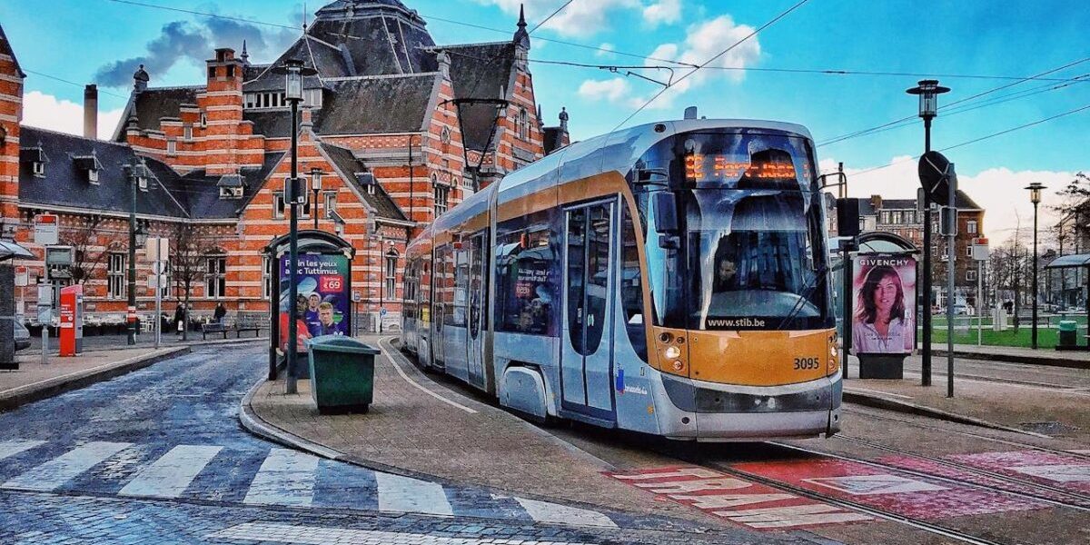 pexels-dirk-870799-e1736452767304.jpg - ReactMedia