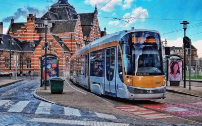 pexels-dirk-870799-e1736452767304.jpg - ReactMedia