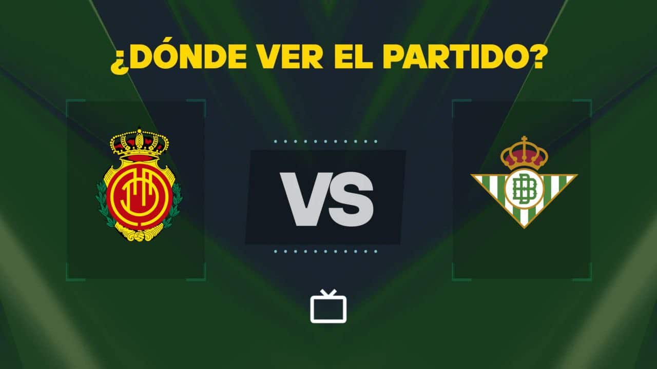 Unde poți urmări evenimentele live și gratuit în această vară?