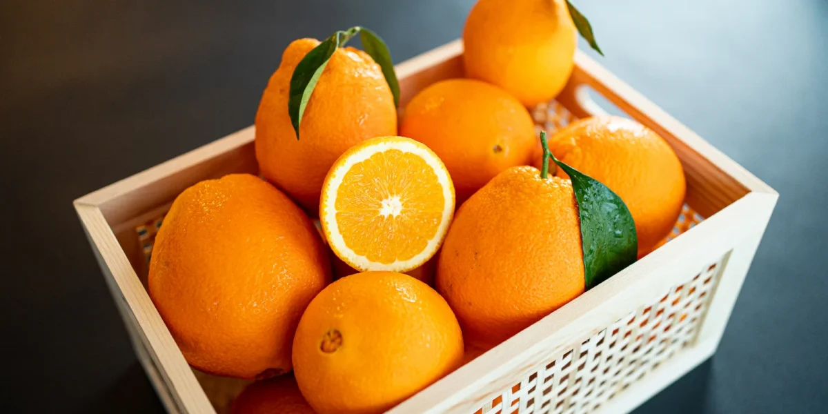 portocale-789528.webp.webp - ReactMedia