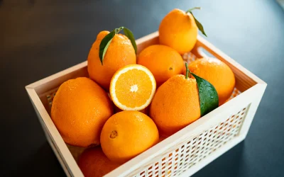 portocale-789528.webp.webp - ReactMedia