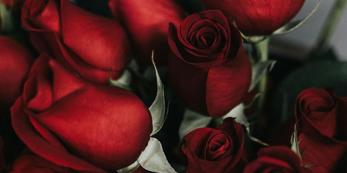 romance-DMID1-69yzu9ga6-1920x1080.jpg - ReactMedia