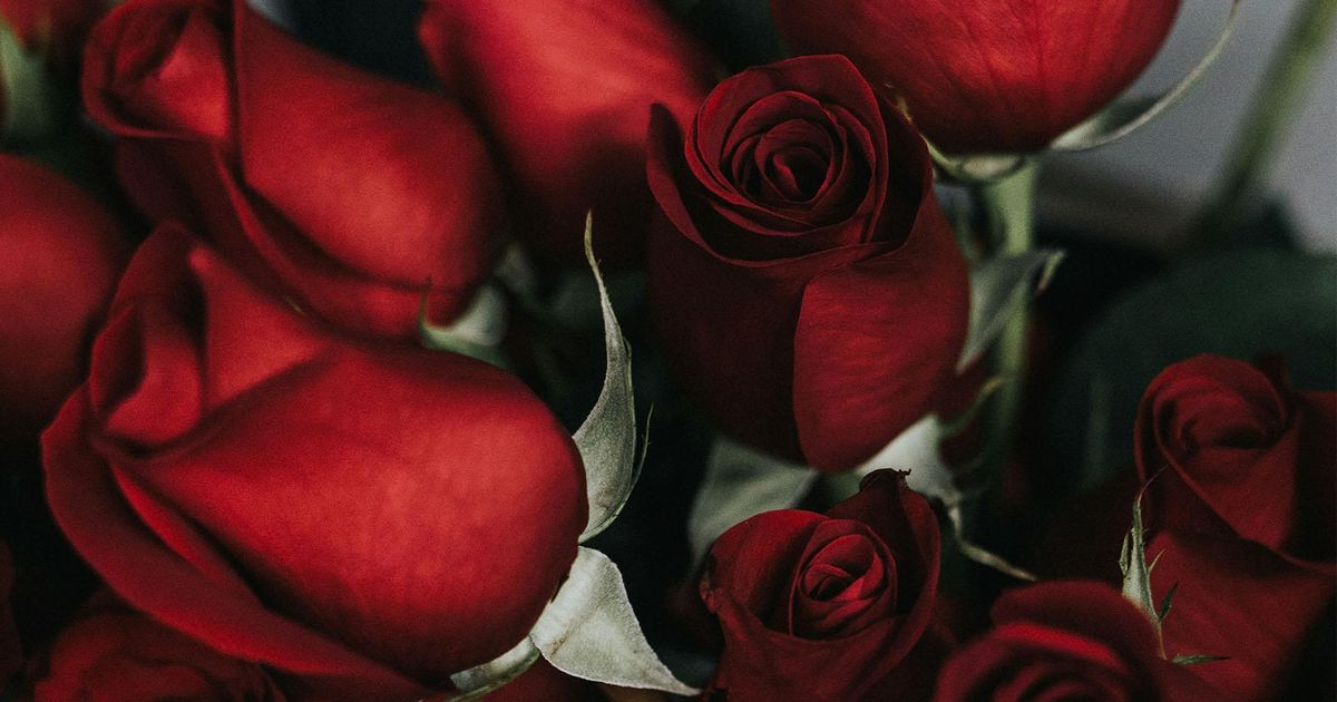 FBI avertizează: Românii din Carolina de Nord, victime ale escrocheriilor romantice înainte de Valentine’s Day În ultimii ani, sute de locuitori din Carolina de Nord au pierdut milioane de dolari în escrocherii romantice, iar FBI Charlotte îndeamnă consumatorii să fie vigilenți, mai ales cu ocazia Valentine’s Day