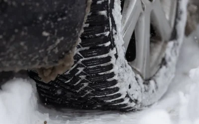 stratdezapada_INQUAM_Photos_Cosmin_Enache.webp.webp - ReactMedia