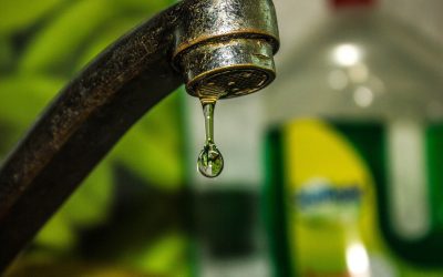 tap-4501207_1280.jpg - ReactMedia