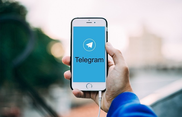 telegram-retea-socializare.jpg - ReactMedia