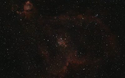 thibault-henry-SAeHlKubA5k-unsplash-scaled.jpg - ReactMedia