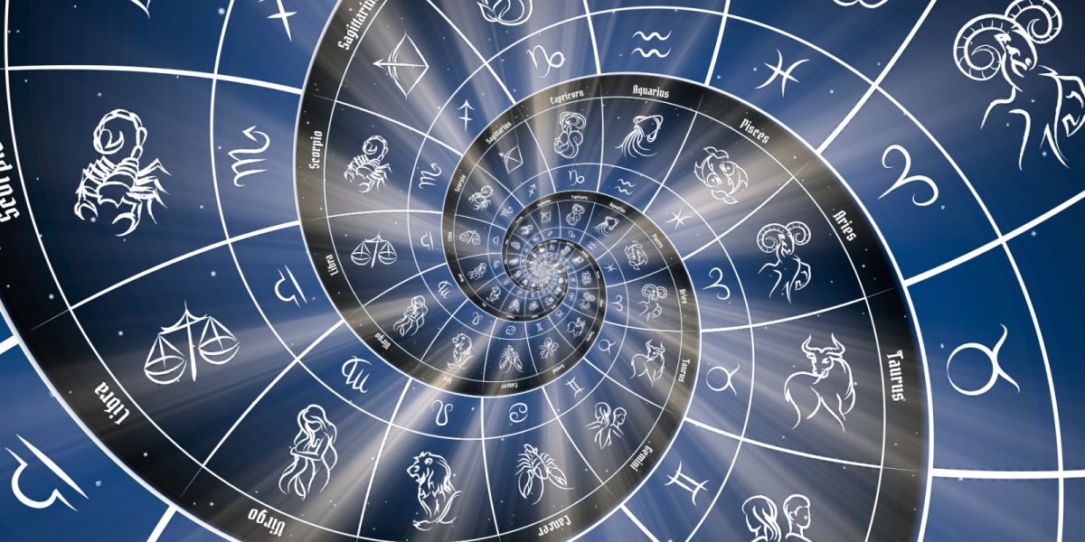 whatsapp-image-2026-02-03-at-19-00-39.jpeg - ReactMedia