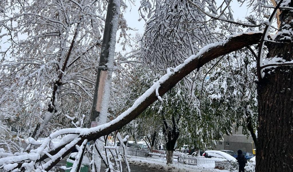 zapada-iarna-nameti-drumuri-inchise-viscol-cod-rosu-vreme-rea-noroi-deszapezire-copaci-cazuti2.jpeg - ReactMedia