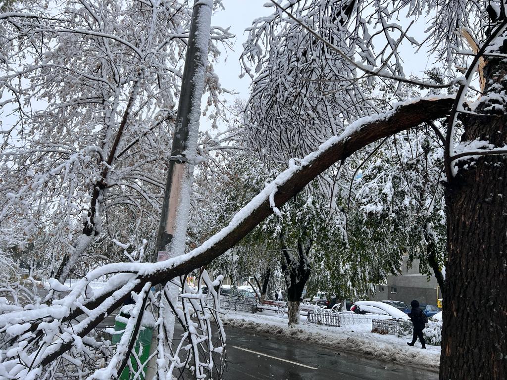 Nepăsarea meteorologică a adus, din nou, autostrăzi și străzi din Capitală și din alte zone din țară în stare de alertă extremă