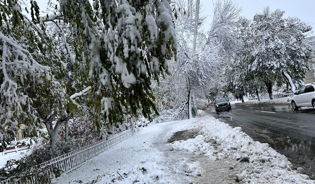 zapada-iarna-nameti-drumuri-inchise-viscol-cod-rosu-vreme-rea-noroi-deszapezire2.jpeg - ReactMedia