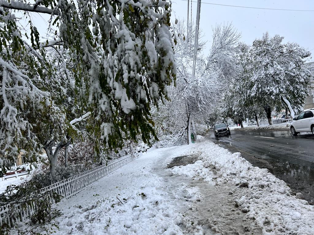 Dimineața zilei de luni aduce în mai multe regiuni ale țării condiții meteo dificile, cu ninsori slabe și ceață densă, teme deja familiare pentru autoritățile din domeniul rutier
