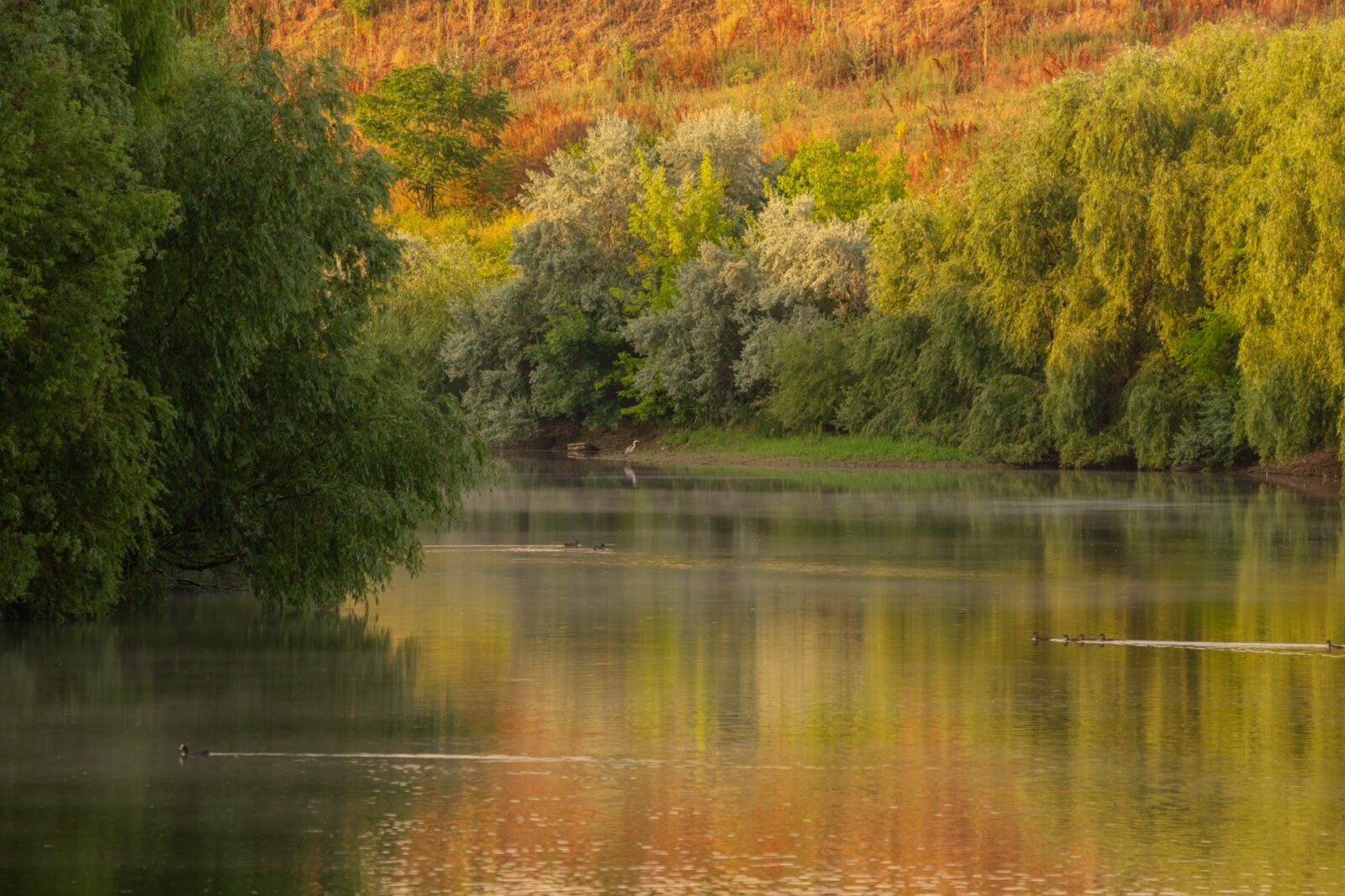 Bucureștiul devine muzeu al naturii și fotografilor amatori Pe 22 martie, bucureștenii pasionați de fotografie și iubitorii de natură sunt invitați să exploreze trasee naturale din inima orașului, într-un eveniment destinat atât începătorilor, cât și experimentaților