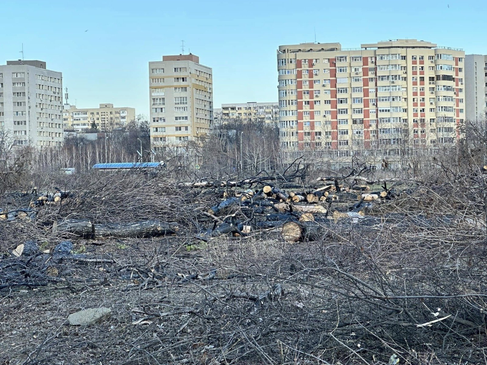 Primarul Capitalei, Ciprian Ciucu, a reacționat dur la poziția controversată adoptată de grupul parlamentar AUR, care a anunțat condiționarea participării la ședințele Consiliului General al Municipiului București (CGMB)